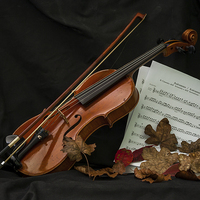 Buy canvas prints of  Vivaldi Four Seasons Autumn by Nick Rowland