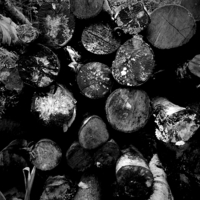 Buy canvas prints of Logs- Black and White by CJ Allen
