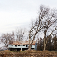 Buy canvas prints of  Wind Blown trees and barn by dan Comeau