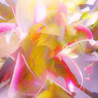 Buy canvas prints of  Flower Abstract by Mark Lovelock