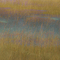 Buy canvas prints of  Blakeney Marshes by Mark Lovelock