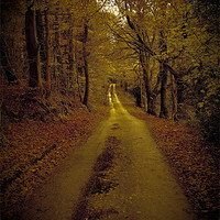 Buy canvas prints of Calm road by S Fierros