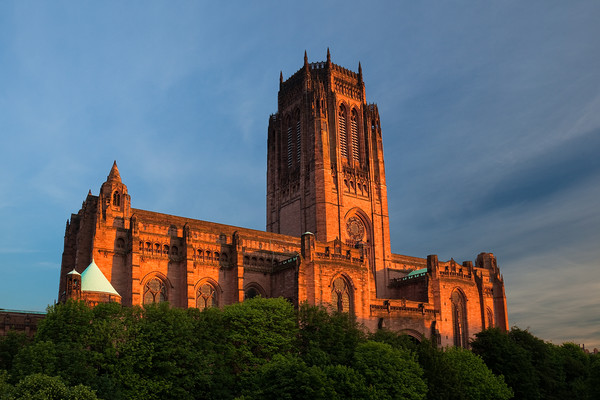 LIVERPOOL ANGLICAN CATHEDRAL IN GARDENS Picture Board by John Hickey-Fry