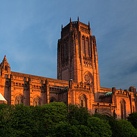 Buy canvas prints of LIVERPOOL ANGLICAN CATHEDRAL IN GARDENS by John Hickey-Fry