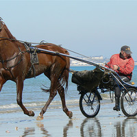 Buy canvas prints of A trot on the beach by Lawson Jones