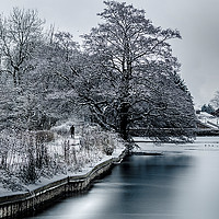 Buy canvas prints of a winters day walk.... by craig baggaley