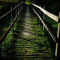 Buy canvas prints of mysterious bridge in the woods by craig baggaley