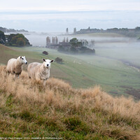 Buy canvas prints of Mist in the Brede valley by Paul Praeger