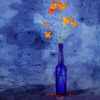 Buy canvas prints of Montbretia in a blue bottle by Paul Praeger
