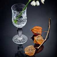 Buy canvas prints of Chinese Lanterns and Snow drops by Paul Praeger