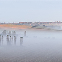 Buy canvas prints of Mist in the Brede valley from Winchelsea by Paul Praeger
