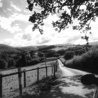 Buy canvas prints of  Out and About in the Welsh Countryside by Jose Pires