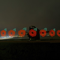 Buy canvas prints of Poppies at Trow, South Shields by andrew blakey