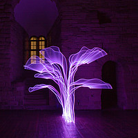 Buy canvas prints of Light Painted tree by andrew blakey