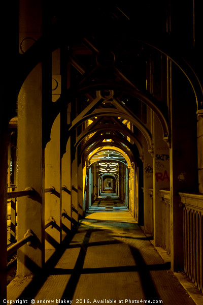 Majestic Nighttime Stroll on the High Level Bridge Picture Board by andrew blakey