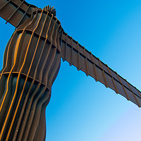 Buy canvas prints of Angel of the North by andrew blakey