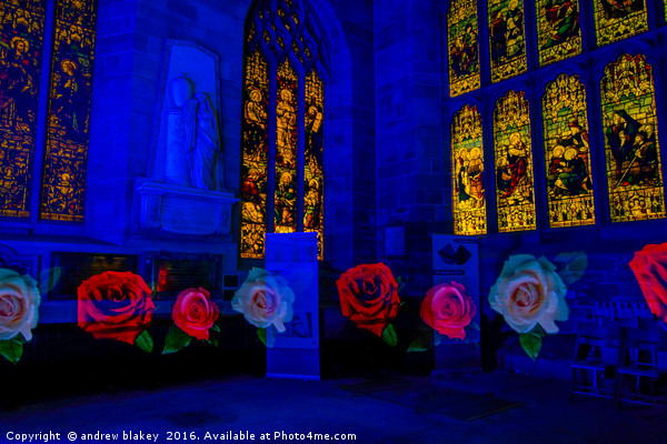 Roses in the Cathedral Picture Board by andrew blakey