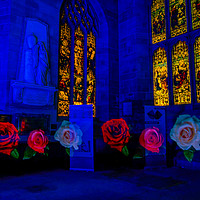 Buy canvas prints of Roses in the Cathedral by andrew blakey