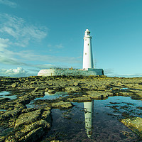 Buy canvas prints of Reflecting on St Marys lighthouse by andrew blakey