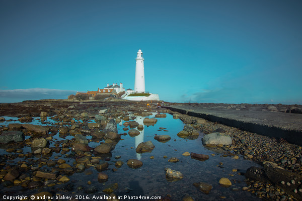 St Marys Lighthouse causeway Picture Board by andrew blakey