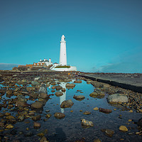 Buy canvas prints of St Marys Lighthouse causeway by andrew blakey