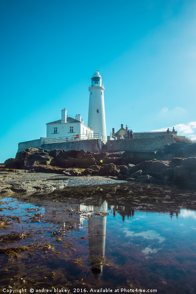 St Marys Lighthouse Picture Board by andrew blakey