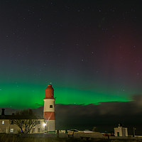 Buy canvas prints of Aurora Borealis Over Souter Lighthouse by andrew blakey
