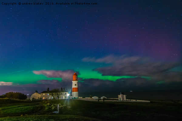 Northern lights over Souter Lighthouse Picture Board by andrew blakey
