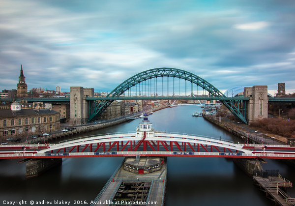 The Majestic Bridges of Tyneside Picture Board by andrew blakey