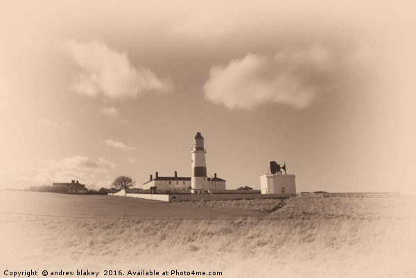 Souter lighthouse, old plate Picture Board by andrew blakey