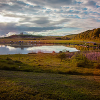 Buy canvas prints of Herrington Country park by andrew blakey