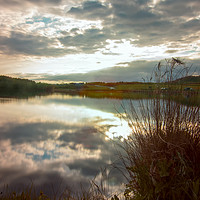 Buy canvas prints of Herrington Country Park by andrew blakey