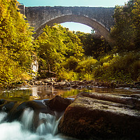 Buy canvas prints of Portrait of Causey Arch by andrew blakey