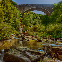 Buy canvas prints of Causey Arch by andrew blakey