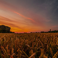 Buy canvas prints of Fields of Cleadon by andrew blakey