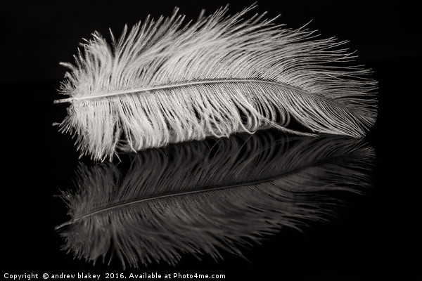 Feather Balanced on a Edge Picture Board by andrew blakey