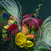 Buy canvas prints of Feathers and Roses by andrew blakey