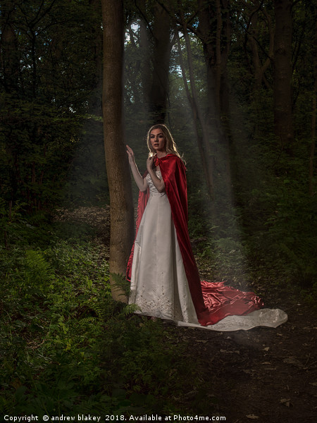 Enchanting Red Riding Hood Picture Board by andrew blakey