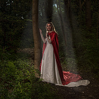 Buy canvas prints of Enchanting Red Riding Hood by andrew blakey