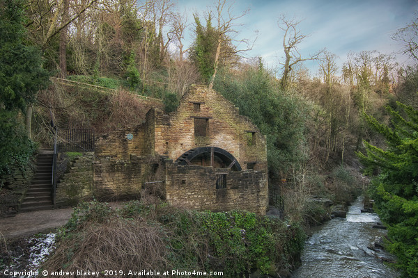Enchanting Ruins of Jesmond Dene Watermill Picture Board by andrew blakey