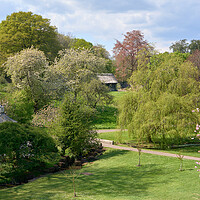 Buy canvas prints of Castle Gardens, St Fagans by Richard Downs