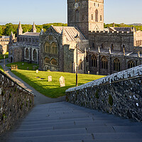 Buy canvas prints of St Davids Cathedral by Richard Downs