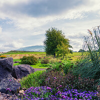 Buy canvas prints of The National Botanic Garden of Wales by Richard Downs