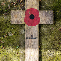 Buy canvas prints of Remembrance by Richard Downs