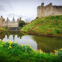 Buy canvas prints of Cardiff Castle by Richard Downs