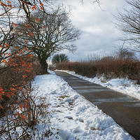 Buy canvas prints of Winter Walk by Richard Downs