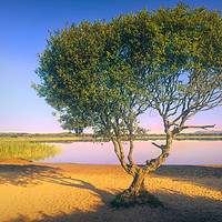 Buy canvas prints of Kenfig by Richard Downs