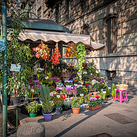 Buy canvas prints of Flower stall by Richard Downs