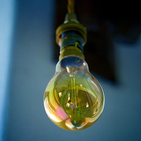 Buy canvas prints of Bulb by Richard Downs