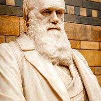 Buy canvas prints of Darwin by Richard Downs